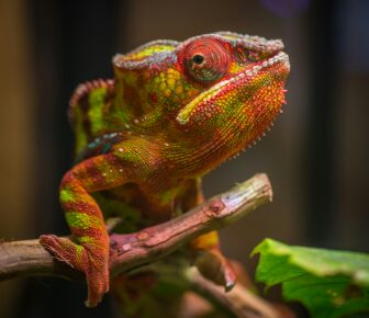 Eerlijk & transparant